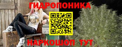 mdpv Будённовск